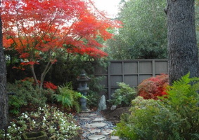 11 backyard-fence-ideas-Landscape-Contemporary-with-bark-mulch-Basalt-Dish (5)