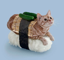 ;original gatti-sushi3