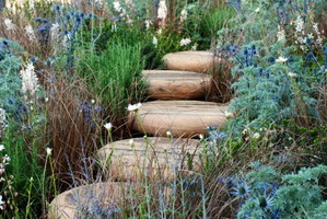 08 A-room-with-a-view-garden-RHS-Hampton-Court-2013-Lisa-Cox