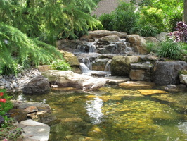 07 backyard-pond-and-stream-ideas