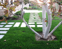 12 geometric-garden-path-ideas-stepping-stones-lawn