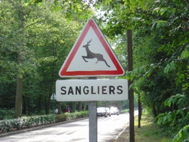 ; 25550110france-insolite-17-jpg
