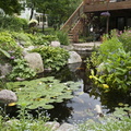 12 Aquascape-Ecosystem-Pond-4