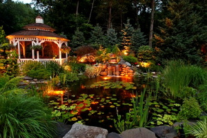 10 backyard-koi-pond-neave-group-outdoor-solutions 8685