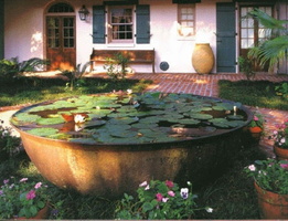 13 a sugar kettle lily pond-1719