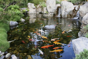 12 koi pond-ideas4