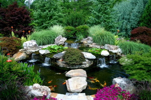 13 Koi-Pond-and-Landscaping-e1381883233289