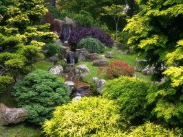 15 japanese-garden-japanese-tea-garden-san-francisco-zen-garden-japanese-garden-near-san-francisco-restaurants-near-japanese-tea-garden-san-francisco-hotels-n (2)