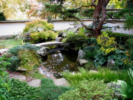15 Japanese garden - Atlanta Botanical Garden