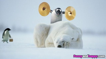 ; 0 drôle-pingouin