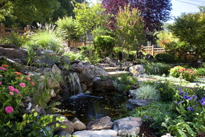 17 Wonderful-Small-Backyard-Pond-Ideas-for-Landscape-Traditional-design-ideas-with-Wonderful-boulders-cottage-garden