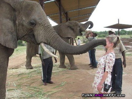 ; Big-kiss-from-an-elephant