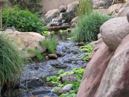 garden-ponds