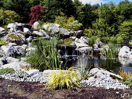 japanese water garden18koi pond fs