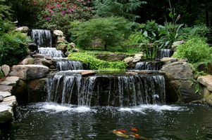 Koi-Pond-and-waterfalls-e1381884512652