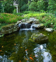 koi-pond-waterfall