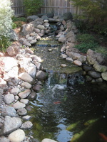 koi-pond-waterfall-8