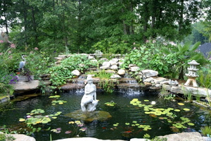 Koi-pond-with-a-waterfall-e1381884207750