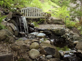 ornamental-pond-in-nature-ideas-510x382