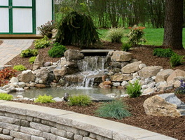 pond-constuction-pond-contractor-pond-care