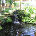 Pond-Designs-104