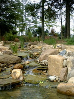 pond-waterfall-koehler-2