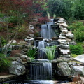 Waterfall-and-Koi-Pond1-e1382060281308