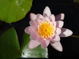 DSC01393 (3669 visites) DSC01393