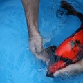 IMG 7563