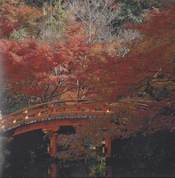 Daigo-Ji Kyoto