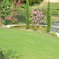 DSC 5546