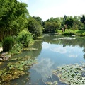 Le lac et ses bords