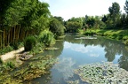 Le lac et ses bords