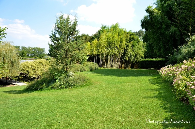 Les bambous et son parc.jpg