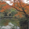 Pont-Kyoto