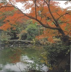 Pont-Kyoto