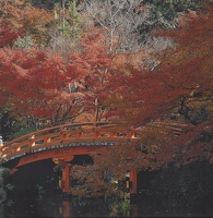 Pont-Tenryo-Ji-Kyoto