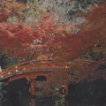 Pont-Tenryo-Ji-Kyoto