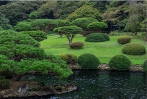 Shinjuku Gyoen 