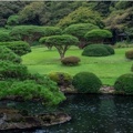 Shinjuku Gyoen 