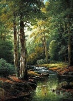 Ruisseau (12)