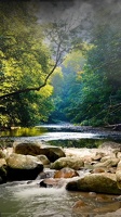 Ruisseau (17)