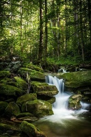 Ruisseau (42)