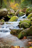 Ruisseau (62)