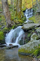 Ruisseau (63)