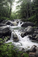 Ruisseau (64)