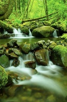 Ruisseau (77)