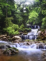 Ruisseau (80)