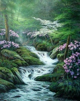 Ruisseau (88)