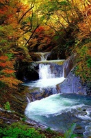 Ruisseau (87)
